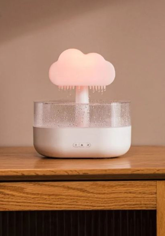 RAIN CLOUD HUMIDIFIER