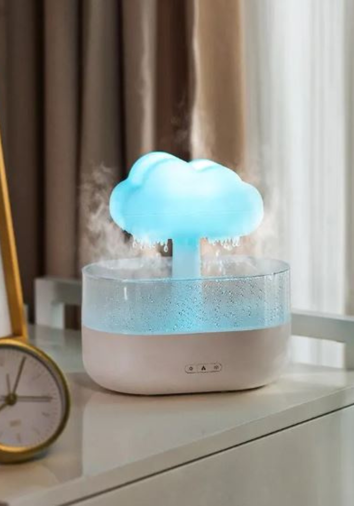 RAIN CLOUD HUMIDIFIER